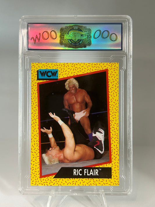 Ric Flair Sting