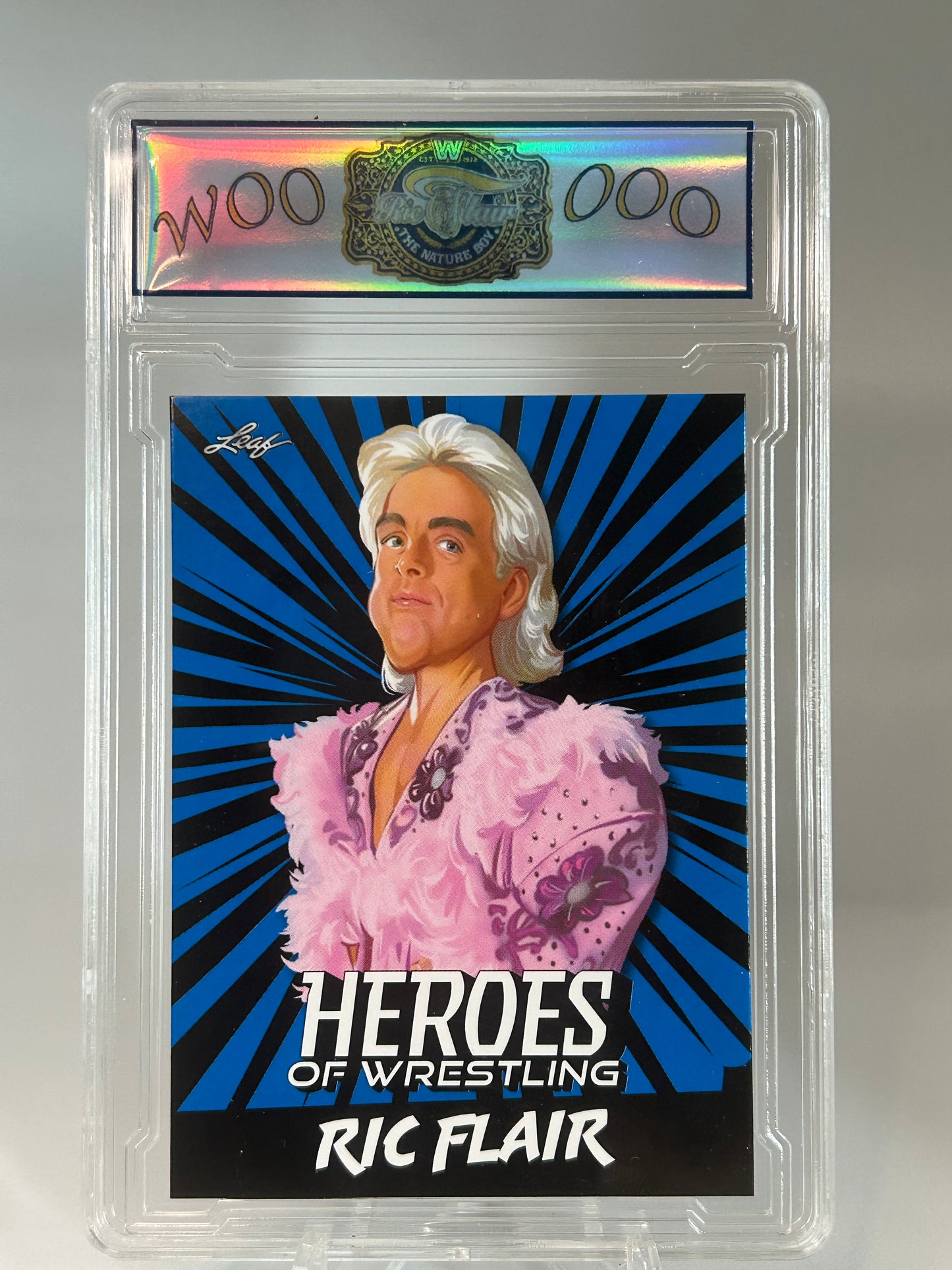 Rick Flair Heroes