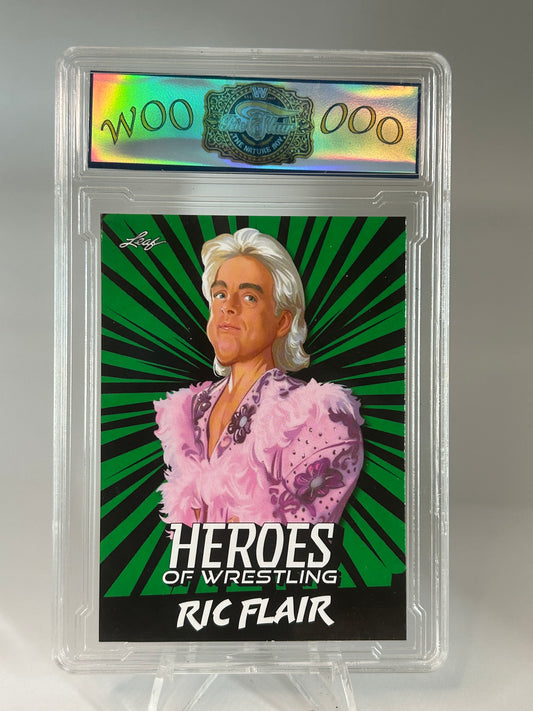 Ric Flair Heroes