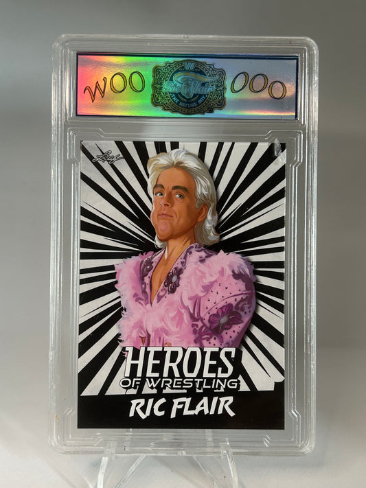 Ric Flair Heroes