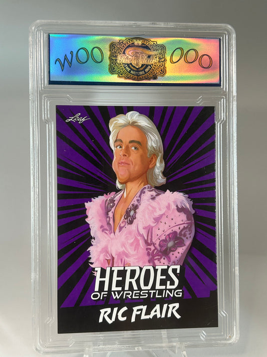 Ric Flair Heroes