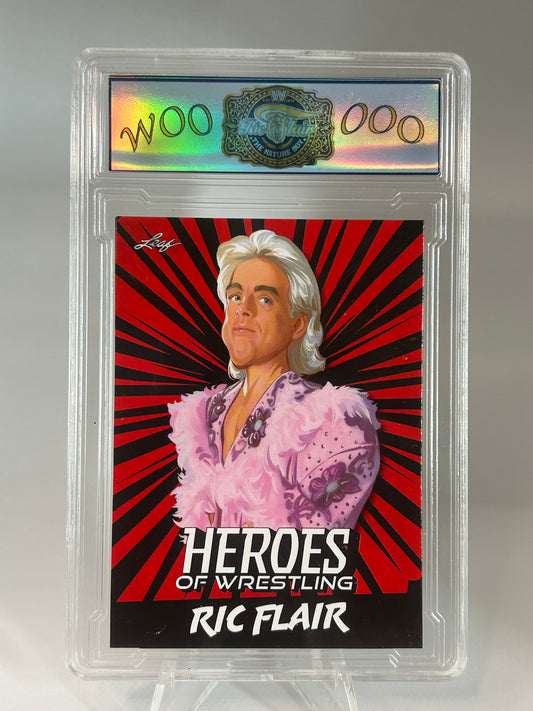 Ric Flair Heroes